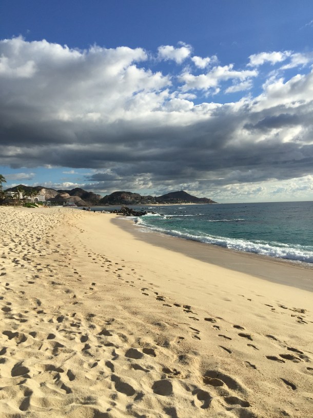 6B8E9299-1FEE-4DBE-9361-0B301DAA2868