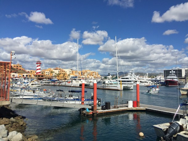 871B18AE-F26D-4BD1-8943-6B3D60F56572