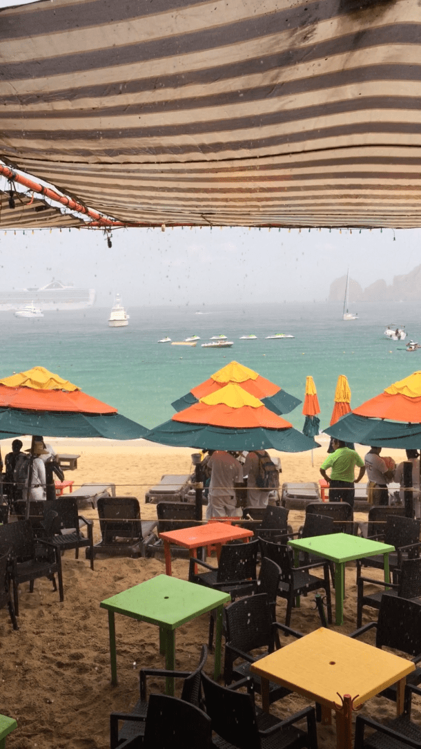 BBDC24FF-61BA-4521-8F4F-7D551426B966