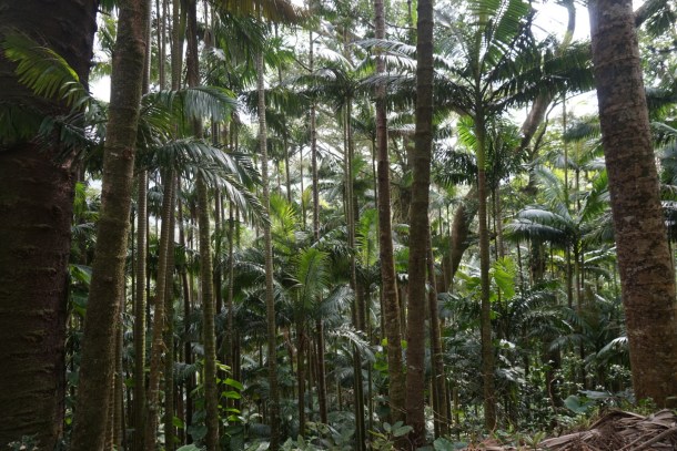 DC559B0B-9067-4A22-AC08-C278A398506C