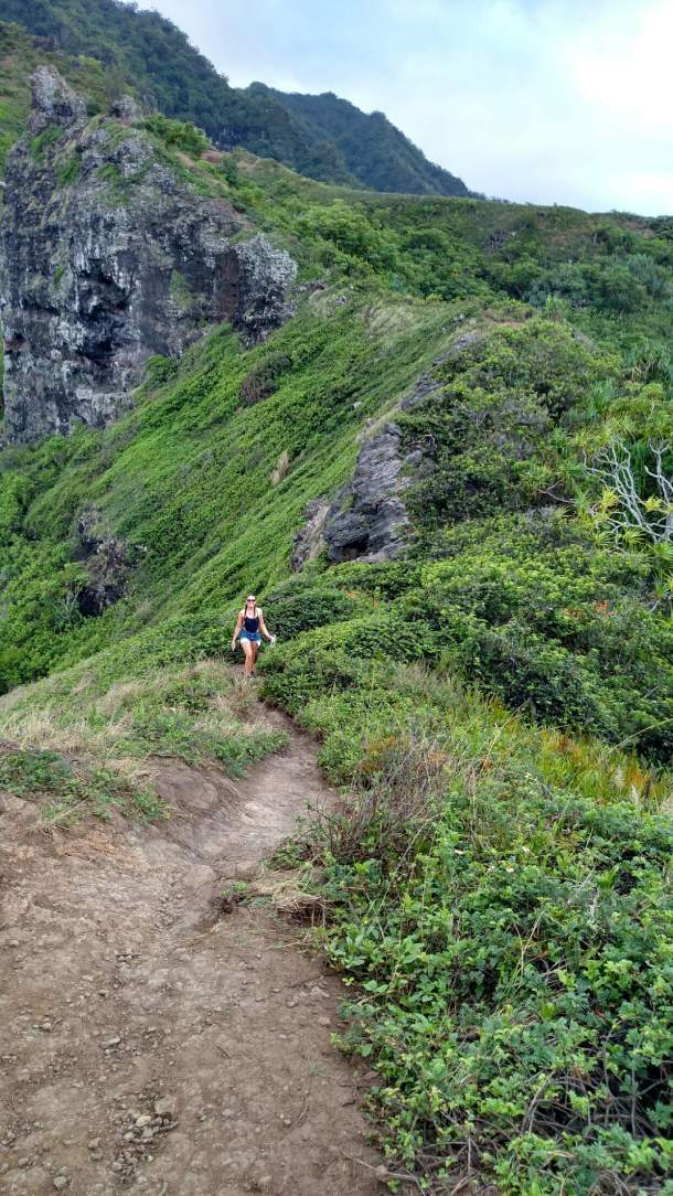 E72DF634-387A-47DA-80C5-34821A840FEE